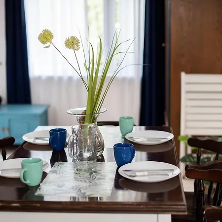 Borowno Wielkie Letniskowy - Letniskowe 아파트