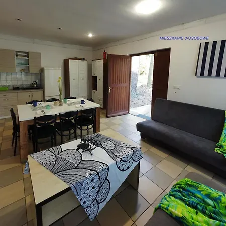 Borowno Wielkie Letniskowy - Letniskowe *